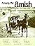 Among the Amish