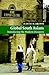 Global South Asians: Introducing the modern Diaspora (New Approaches to Asian History) by Judith M. Brown (2006-08-31)