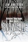 Snowfall in Virginia (Chris Hamilton)