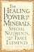 Healing Power of Minerals, Special Nutrients and Trace Elements by Paul Bergner (28-Feb-1998) Paperback