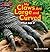 My Claws Are Large and Curved (Zoo Clues) by Jessica Rudolph (2014-01-02)