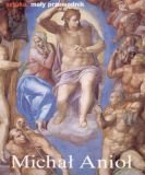 michal aniol (Paperback)