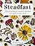Steadfast: Cultivating Sacred Stability in the Midst of Chaotic Circumstances