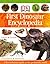First Dinosaur Encyclopedia by Caroline Bingham (2007-08-01)