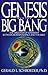 Genesis and the Big Bang: The Discovery Of Harmony Between Modern Science And The Bible by Schroeder, Gerald (1991) Paperback