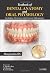 Textbook of Dental Anatomy and Oral Physiology [Paperback] [October 2012] (Author) Manjunatha BS, C. Bhasker Rao, G. S. Kumar, R. Gowramma, Ashith B. Acharya