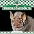 Wrinkle-Faced Bats by Pamela J. Gerholdt (1995-09-02)