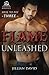 Flame Unleashed by Jillian David (2015-11-03)