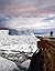 Essentials of Environmental Science by Andrew Friedland (2012-01-04)