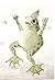 The Adventures of Jacky Frog