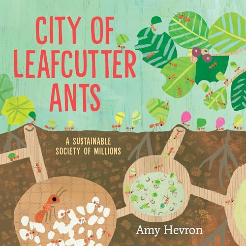 City of Leafcutter Ants: A Sustainable Society of Millions (Hardcover)
