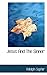 Jesus And The Sinner by Adolph Saphir (2009-11-19)