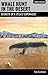 Whale Hunt in the Desert: Secrets of a Vegas Superhost by Deke Castleman (2014-12-01)