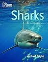 Sharks by Michael...