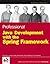 Professional Java Development with the Spring Framework by Rod Johnson (8-Jul-2005) Paperback