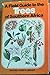 A Field Guide to the Trees of Southern Africa (Revised Second Edition)