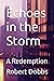 Echoes in the Storm: A Rede...