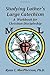 Studying Luther's Large Catechism: A Workbook for Christian Discipleship by Ryan C. MacPherson (2012-03-07)