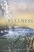 Overflowing Fullness: A Journey Into The Father's Heart by Kierra Blaser (2011-10-10)
