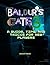BALDUR'S GATE 3: A GUIDE, T...