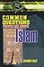 Common Questions People Ask About Islam EC-31 by Shabir Ally