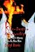 Klandestine Relationships: A Black Man's Odyssey in the Klu Klux Klan: A Black Man's Odyssey in the Ku Klux Klan by Daryl Davis (2000-04-01)