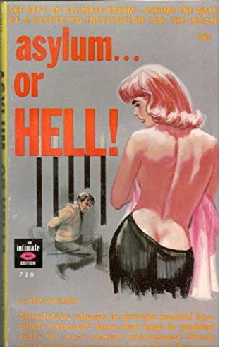 Asylum-- or Hell! (Paperback)