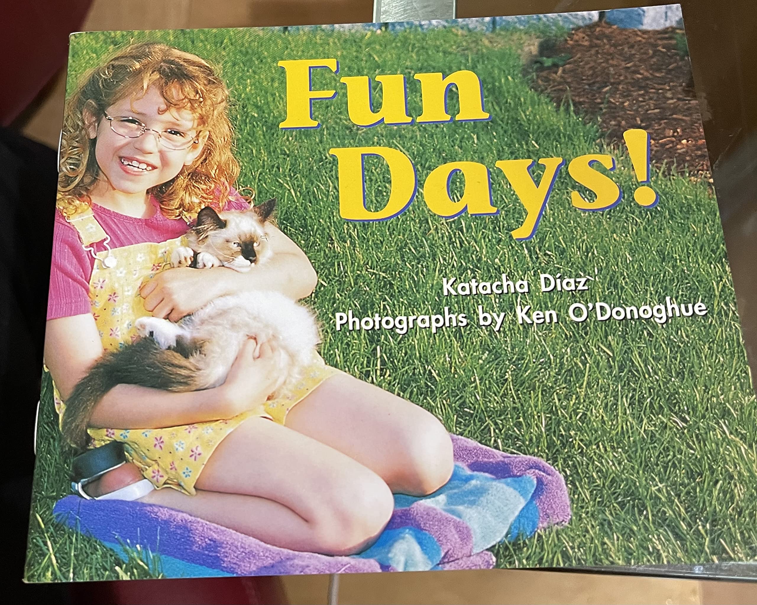 Rigby on Our Way to English: Leveled Reader Grade K (Level C) Fun Days! (On Our Way English)