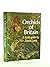 Orchids of Britain by David   Lang