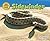 Sidewinder (Desert Animals Searchin' for Shade) by MacGregor, Eloise (2015) Hardcover