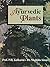 The Ayurvedic Plants