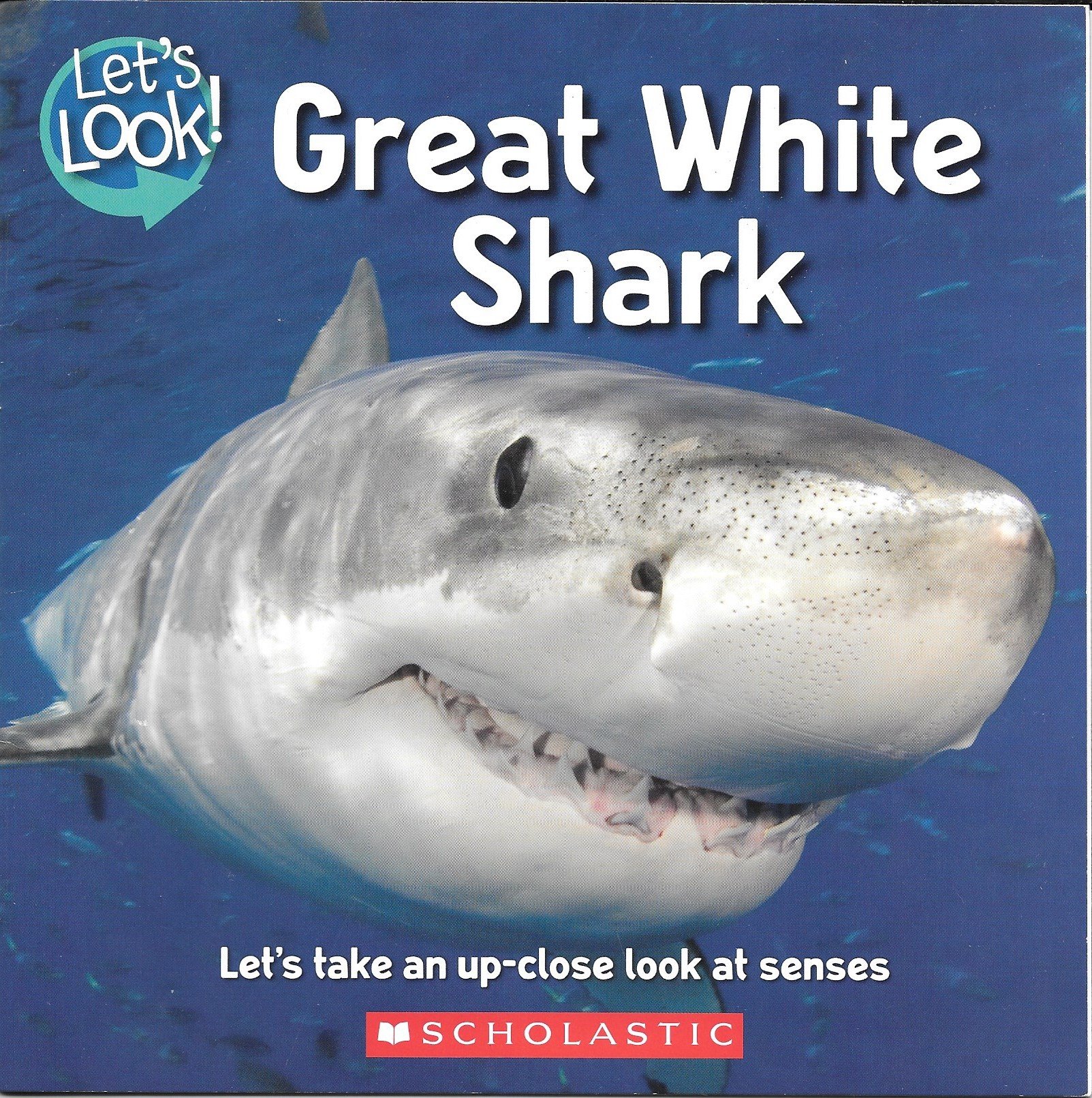 Let's Look! Great White Shark (Paperback)