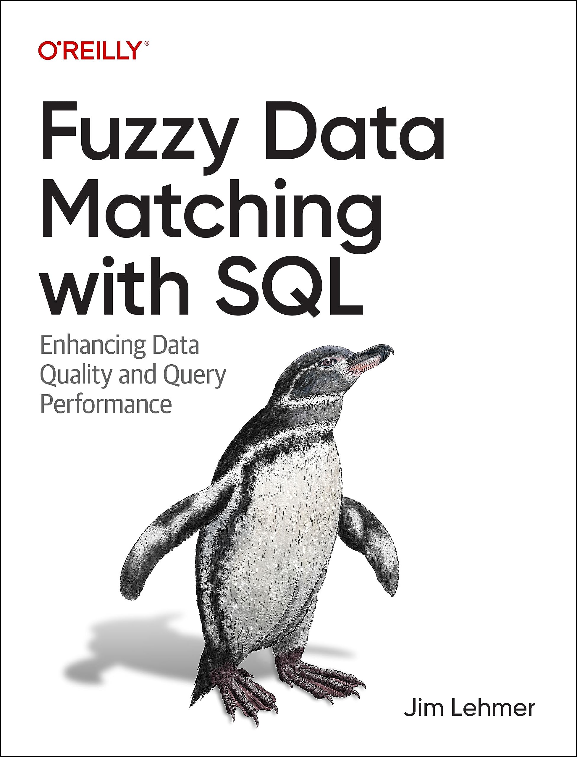 Fuzzy Data Matching with SQL: Enhancing Data Quality and Query Performance (Paperback)