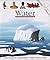 Water (First Discovery Series) by Pierre-Marie Valat (2007-05-01)