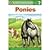 Ponies by Pollack, Pamela D., Belviso, Meg [Penguin Young Rea... by Pollack