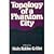 Topology of a phantom city