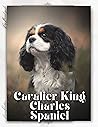 Cavalier King Cha...