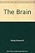 The Brain