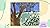 (From Tadpole to Frog) By Pfeffer, Wendy (Author) Paperback on (01 , 2000)