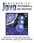 Enterprise Java - Programming with IBM Websphere (01) by Brown, Kyle - Niswonger, Jamie - Hester, Greg - Pitt, David - Cr [Paperback (2001)]