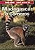 Madagascar & Comoros: A Tra...