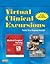 Interactive Software: Virtual Clinical Excursions: Pacific View Regional Hospital: for deWit: Medical-Surgical Nursing: Concepts and Practice