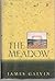 The Meadow by James Galvin (1992-04-23)