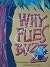 Why Flies Buzz