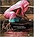 The Sari by Banerjee, Mukulika, Miller, Daniel (2008) Paperback