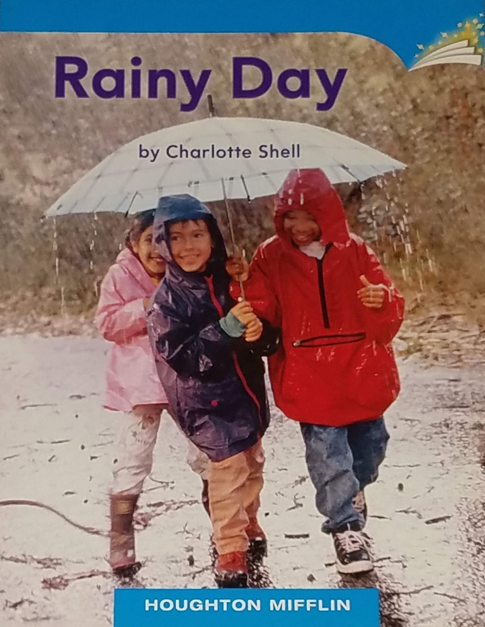 Rainy Day (Paperback)