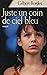 Juste un coin de ciel bleu / Bordes, Gilbert / Réf14620