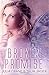 Broken Promise: Between Worlds (Volume 2) Paperback – July 23, 2013