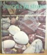 Secrets in Stones (Hardcover)