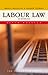 Labour Law 5th edition by Creighton, Breen, Stewart, Andrew (2010) Paperback